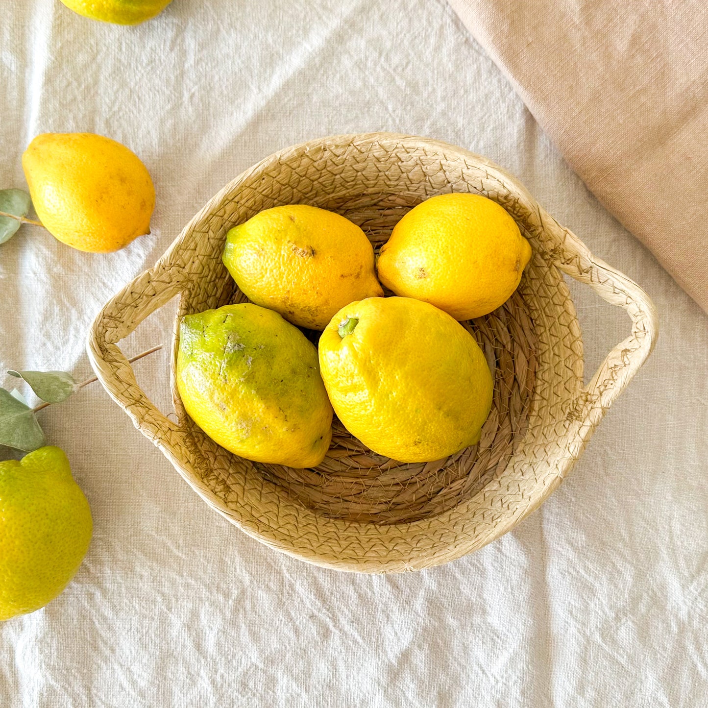 Bandeja tejida bicolor con asas