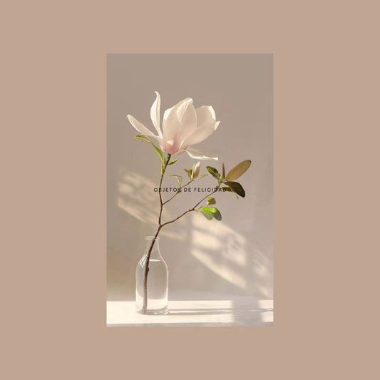 Gift Card Frank Home Tarjeta de regalo Frank Home Chile