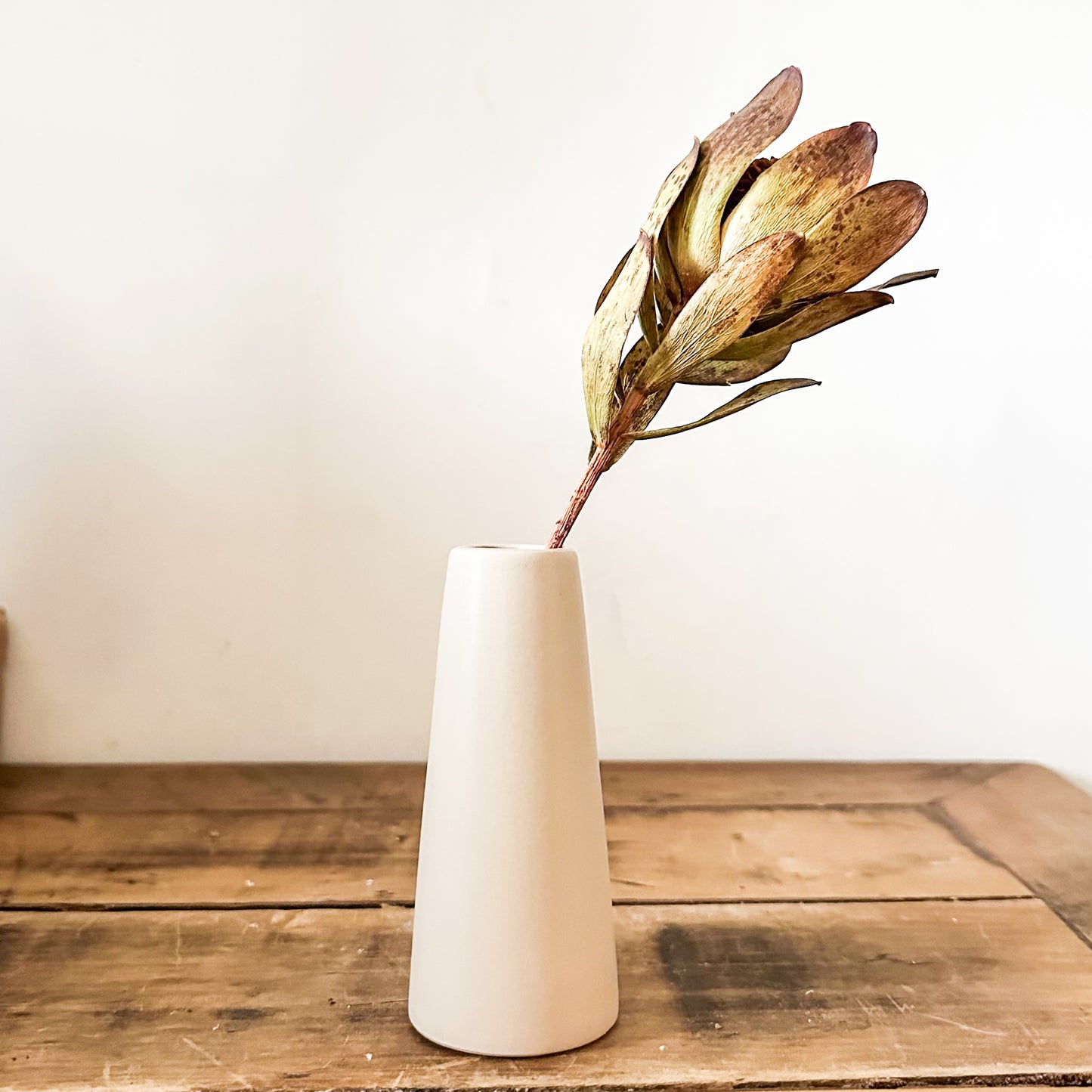 Mini Florero Solitario Cónico Cerámica Beige Florero Frank Home Chile