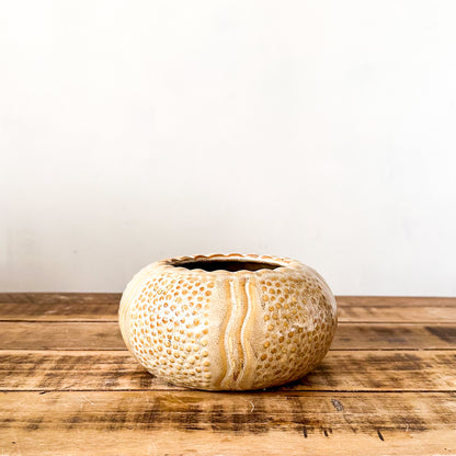 Florero Centro de Mesa Cerámica Esmaltada Beige 16cm - Diseño Elegante Florero Frank Home Chile