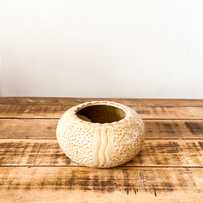 Florero Centro de Mesa Cerámica Esmaltada Beige 16cm - Diseño Elegante Florero Frank Home Chile