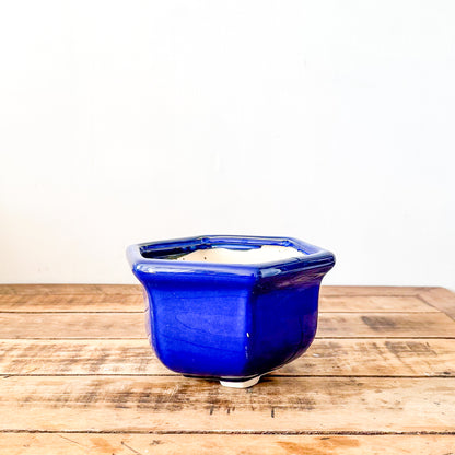 Macetero Hexagonal Cerámica Esmaltada Azul Macetero Frank Home Chile