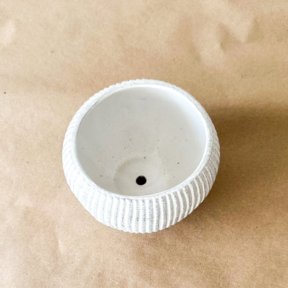 Macetero Cerámica Acanalada Plata 11 cm