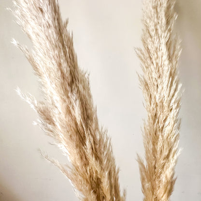 Ramo 3 Colas de Zorro Naturales 140 cm Adorno Frank Home Chile