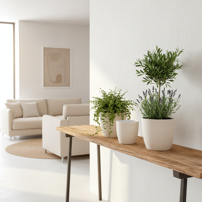 Set 3 Porta Maceteros Cerámica Blanco Antiguo Mate | Frank Home Porta Macetero Frank Home Chile