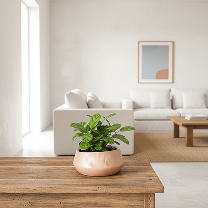 Porta Macetero Cerámica Porta Macetero Frank Home Chile