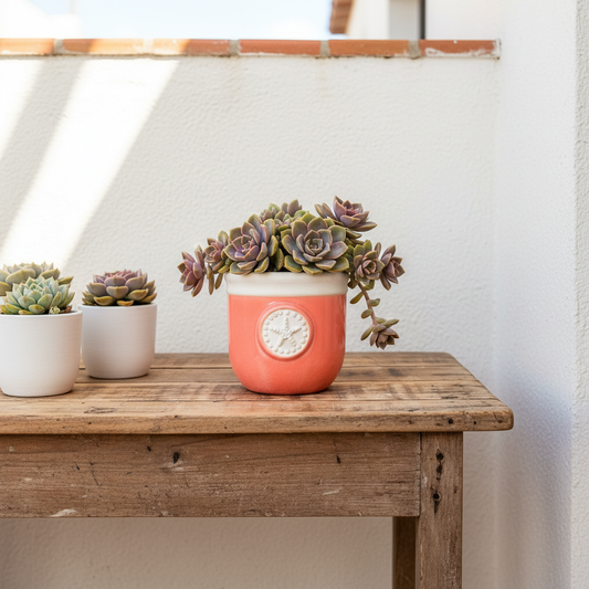 Porta Macetero Cerámica Porta Macetero Frank Home Chile