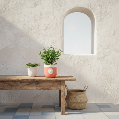 Porta Macetero Cerámica Porta Macetero Frank Home Chile