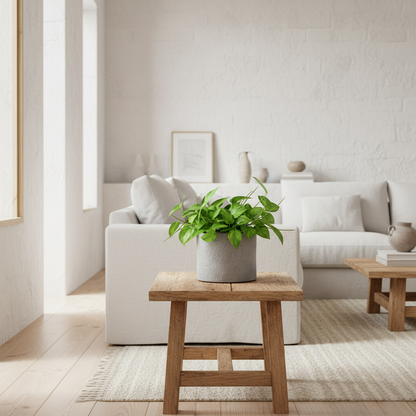 Porta Macetero Rústico Gris Grafito Porta Macetero Frank Home Chile