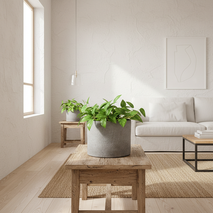 Porta Macetero Rústico Gris Grafito Porta Macetero Frank Home Chile