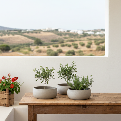 Porta Macetero Cerámica Textura Rústica 24 cm Porta Macetero Frank Home Chile