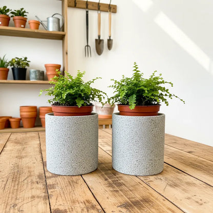 Porta Maceteros Cerámica Textura Piedra Porta Macetero Frank Home Chile