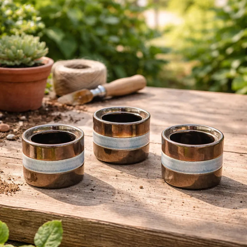 Macetero Cerámica Terminación Bronce 10x8,5 cm Macetero Frank Home Chile