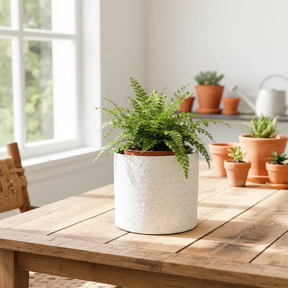 Porta Macetero Cerámica Interior Azul - Diseño Elegante 3 Tamaños Porta Macetero Frank Home Chile