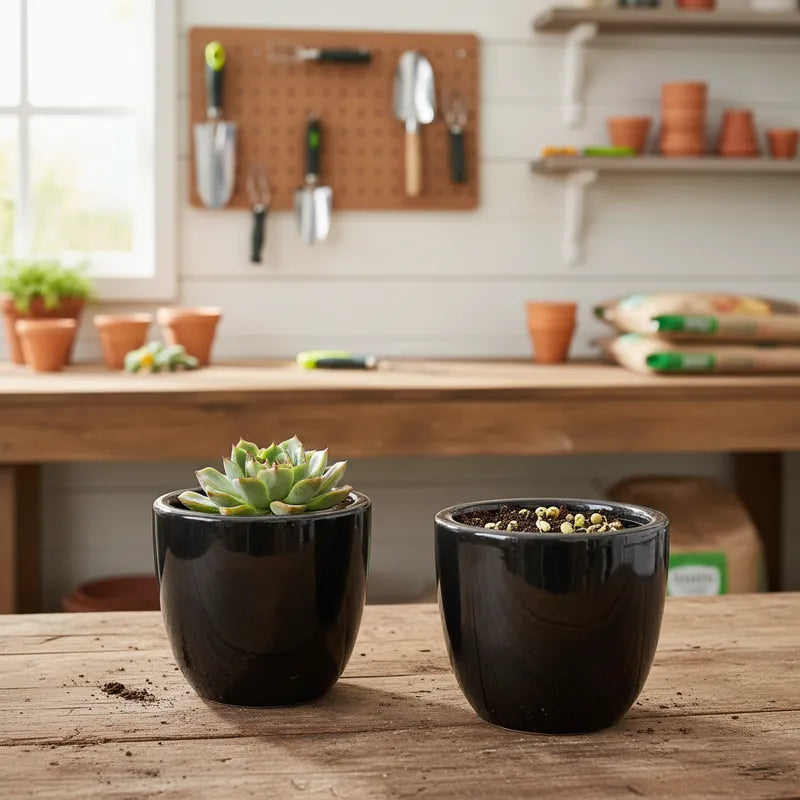 MIni Porta Macetero Cerámica Negra Porta Macetero Frank Home Chile