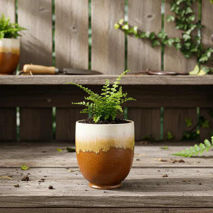 Porta Macetero Cerámica Bicolor Porta Macetero Frank Home Chile