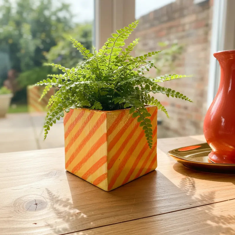 Pot Bicolor Cerámica Esmaltada con Líneas 11.5cm - Diseño Elegante Porta Macetero Frank Home Chile