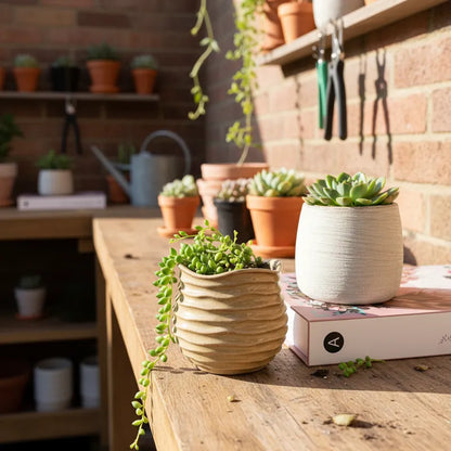 Set 4 Pots Cerámica Rústica 11cm - Porta Maceteros Elegantes Porta Macetero Frank Home Chile