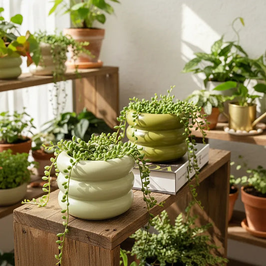 Pots Cerámica Esmaltada Verde Ondas 15cm - Textura Elegante Porta Macetero Frank Home Chile